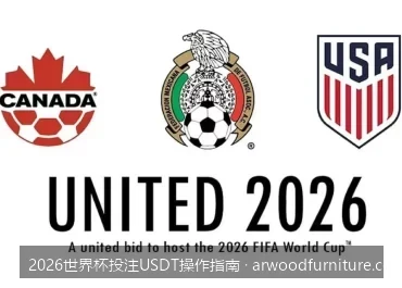 TRC20与ERC20通道对比：2026世界杯USDT转账如何做到省时省手续费